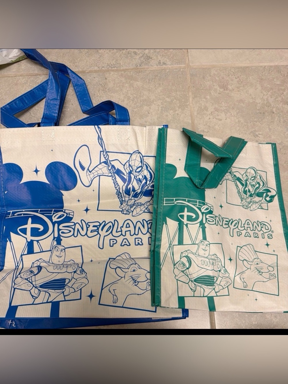 Disneyland Paris Reusable Bag